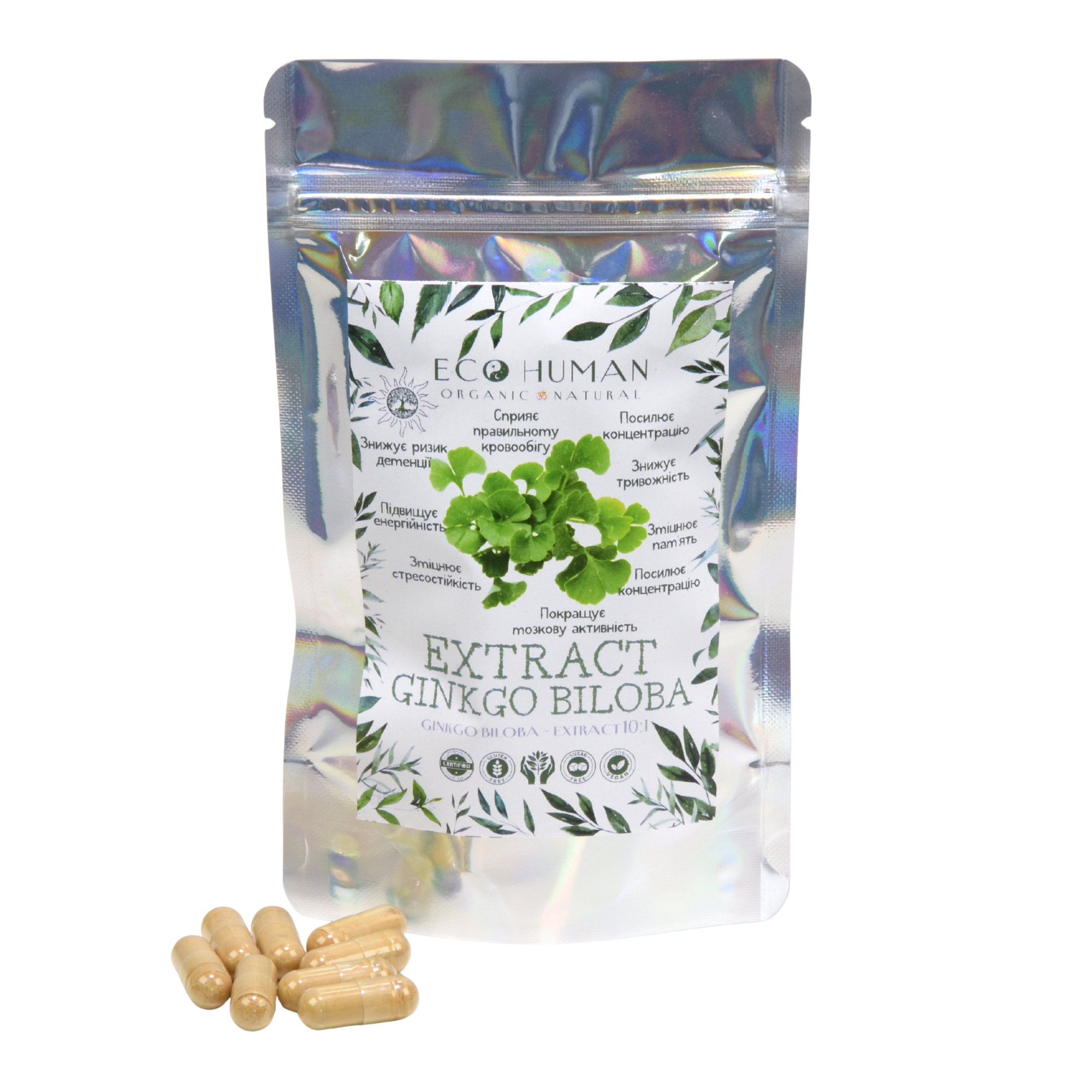 Ginkgo Biloba Extract 10:1, Ginkgo Biloba Extract 10:1, EcoHuman, 500 mg, 60 capsules