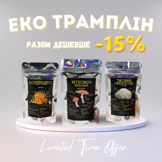 Эко Трамплин, Eco Trampoline, EcoHuman