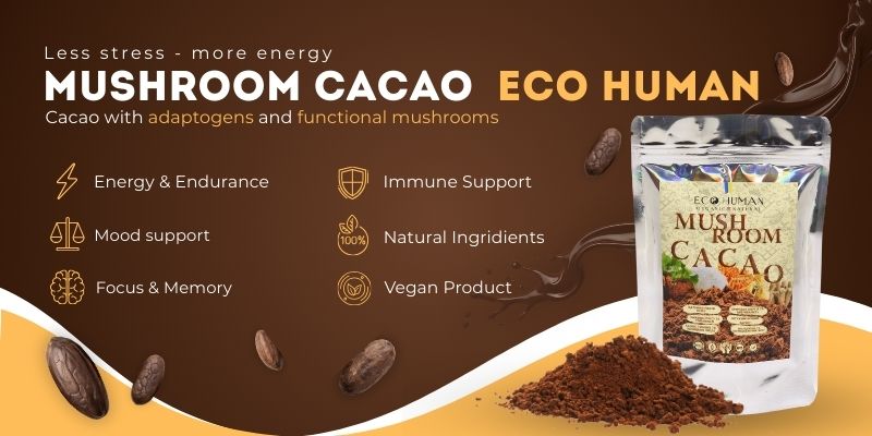 Eco Human mushroom cacao with adaptogens and functional mushrooms - less stress, more energy, mood, focus, memory and immune support, natural vegan product